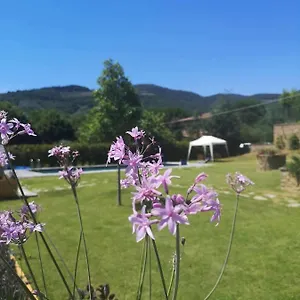 Alba Morus Sentiti A Casa Nel Cuo , Arezzo Italy