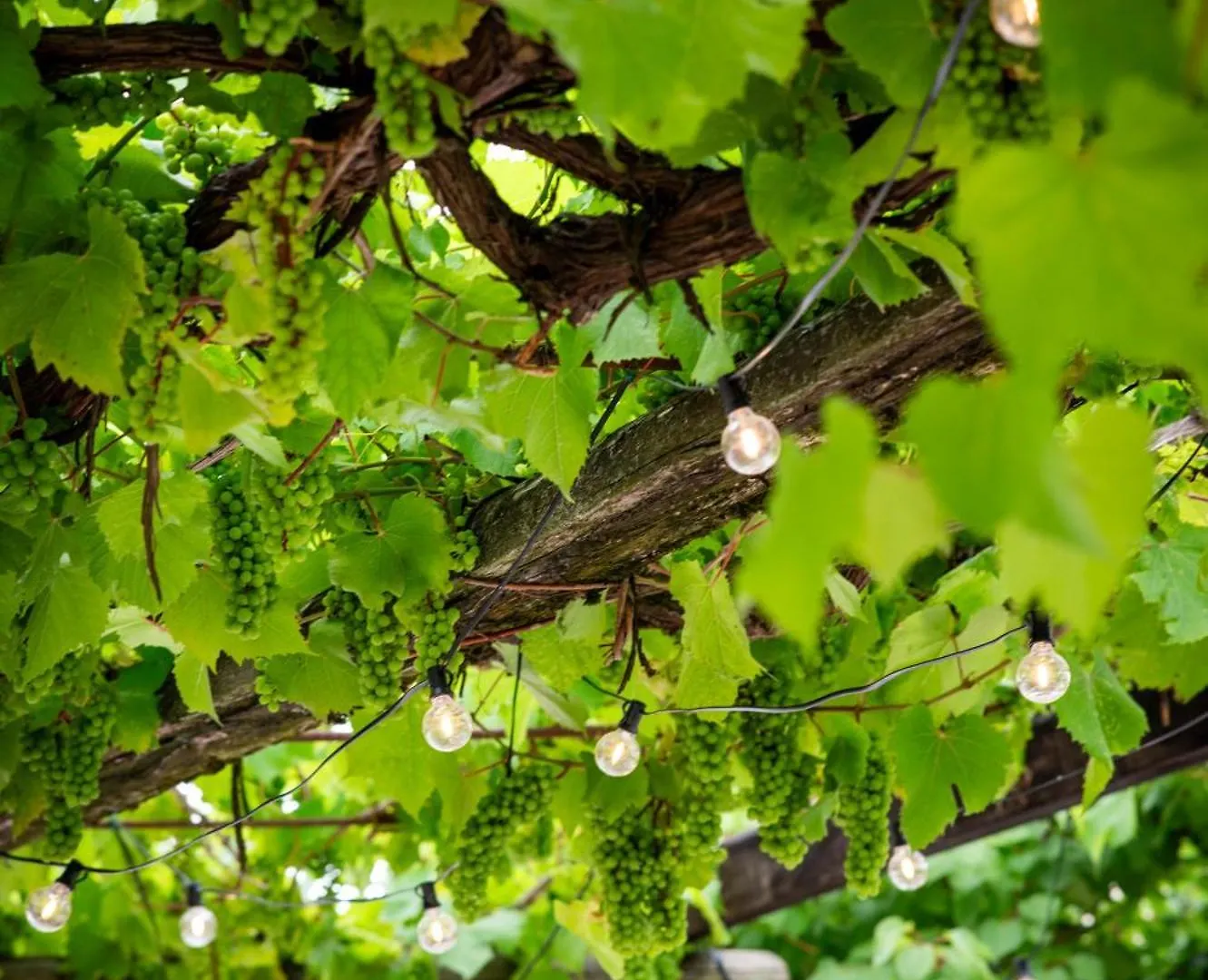 Locanda Al Convento Favaro Veneto 0*,  Italy